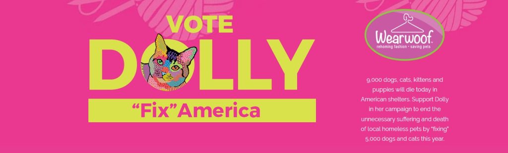 Vote Dolly, Fix America Campaign, Wear Woof, Pittsburgh, Jim Krenn